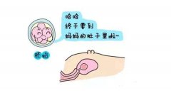如何选择优质胚胎进行武汉试管婴儿移植