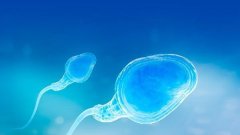 卵巢储备对海外试管婴儿的成功有多重要