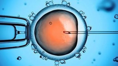 武汉高龄供卵流程-试管婴儿的成功率高吗？