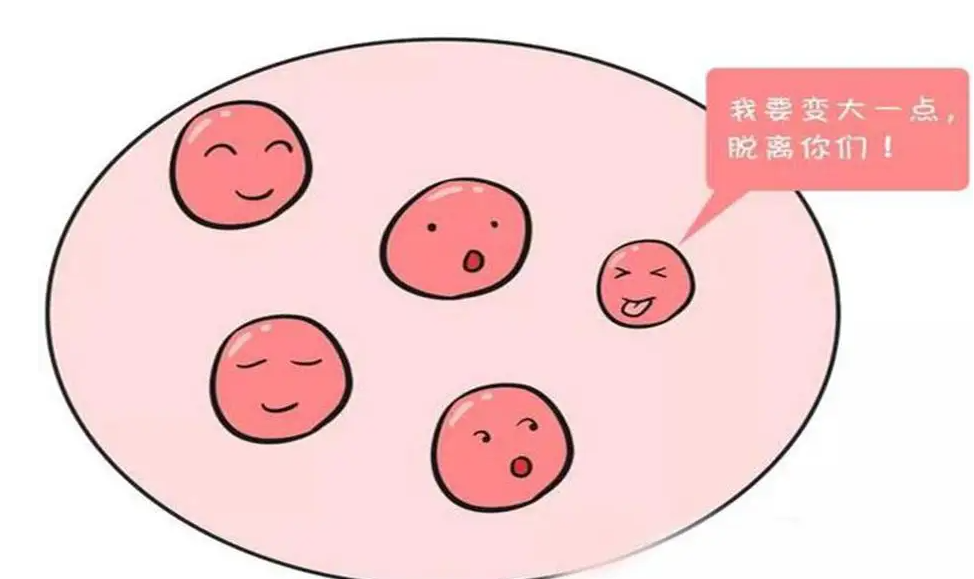 在武汉，私人机构做供卵试管婴儿合法可靠吗？武汉有哪些医院可以合法做试管婴儿？