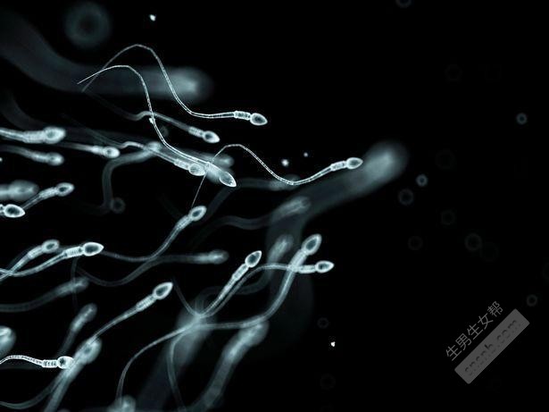 [睾丸产生较少的精子]男人吃什么会影响精子质量