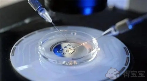 胚胎培养是新鲜胚胎吗？有什么区别呢？