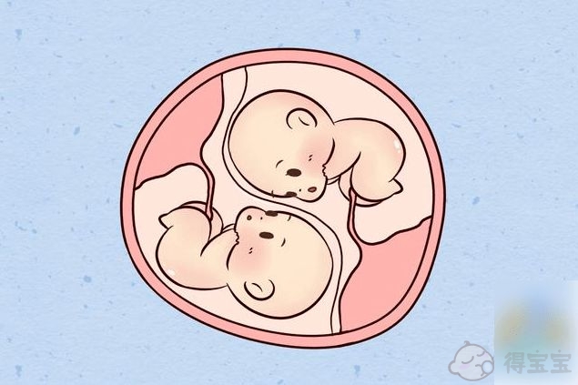 武汉试管婴儿专家告诉你单胎移植和双胎移植哪个好