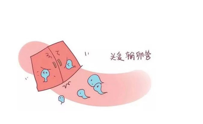 湖北省妇幼试管婴儿所在地：重庆最好的5家试管婴儿机构! 推荐捐卵的生育诊所